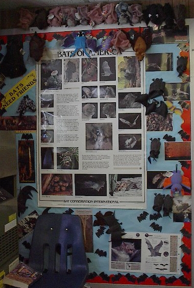 batbulletin.jpg