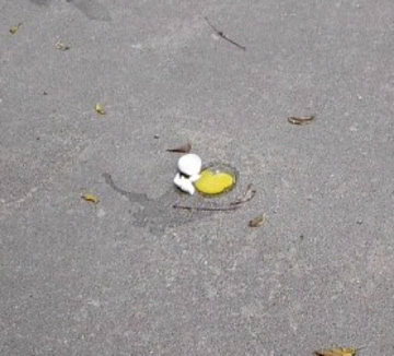 oeggdead.jpg