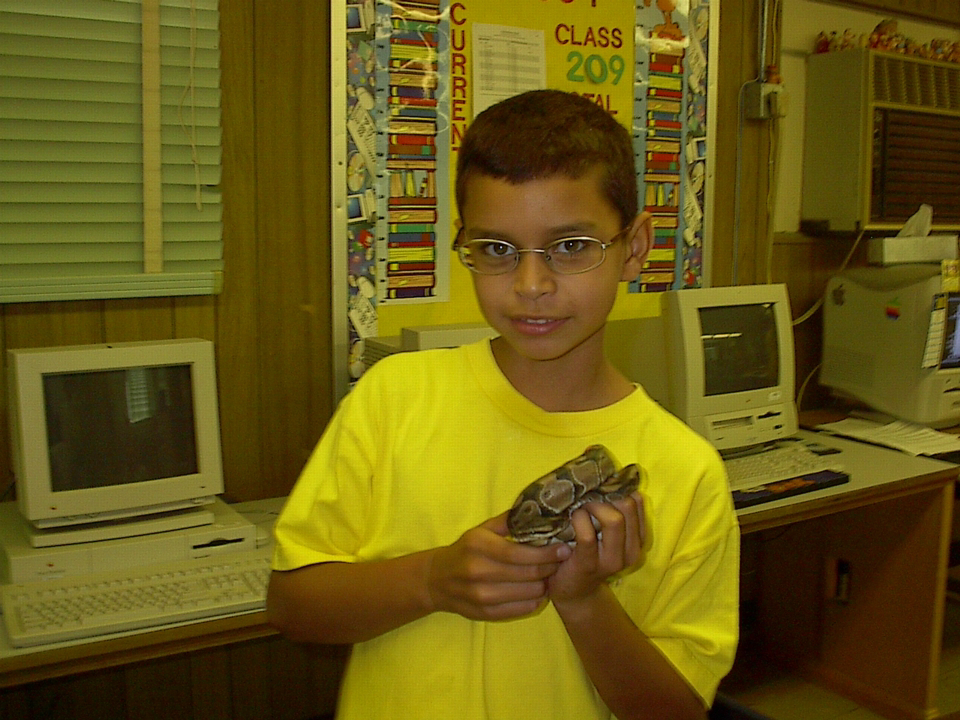 snake2.jpg