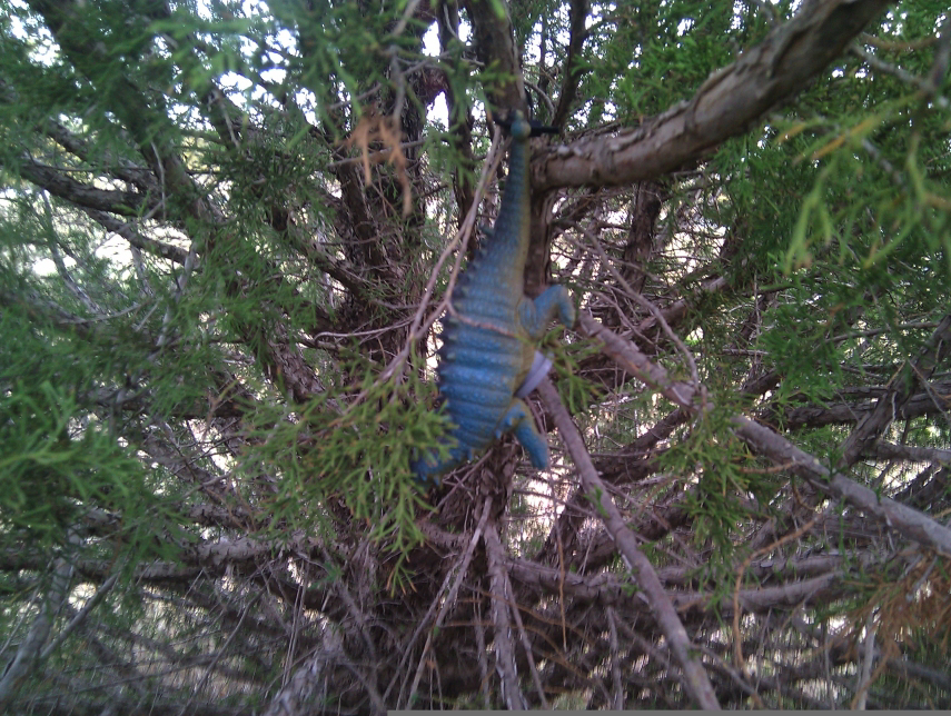 dino cache.jpg