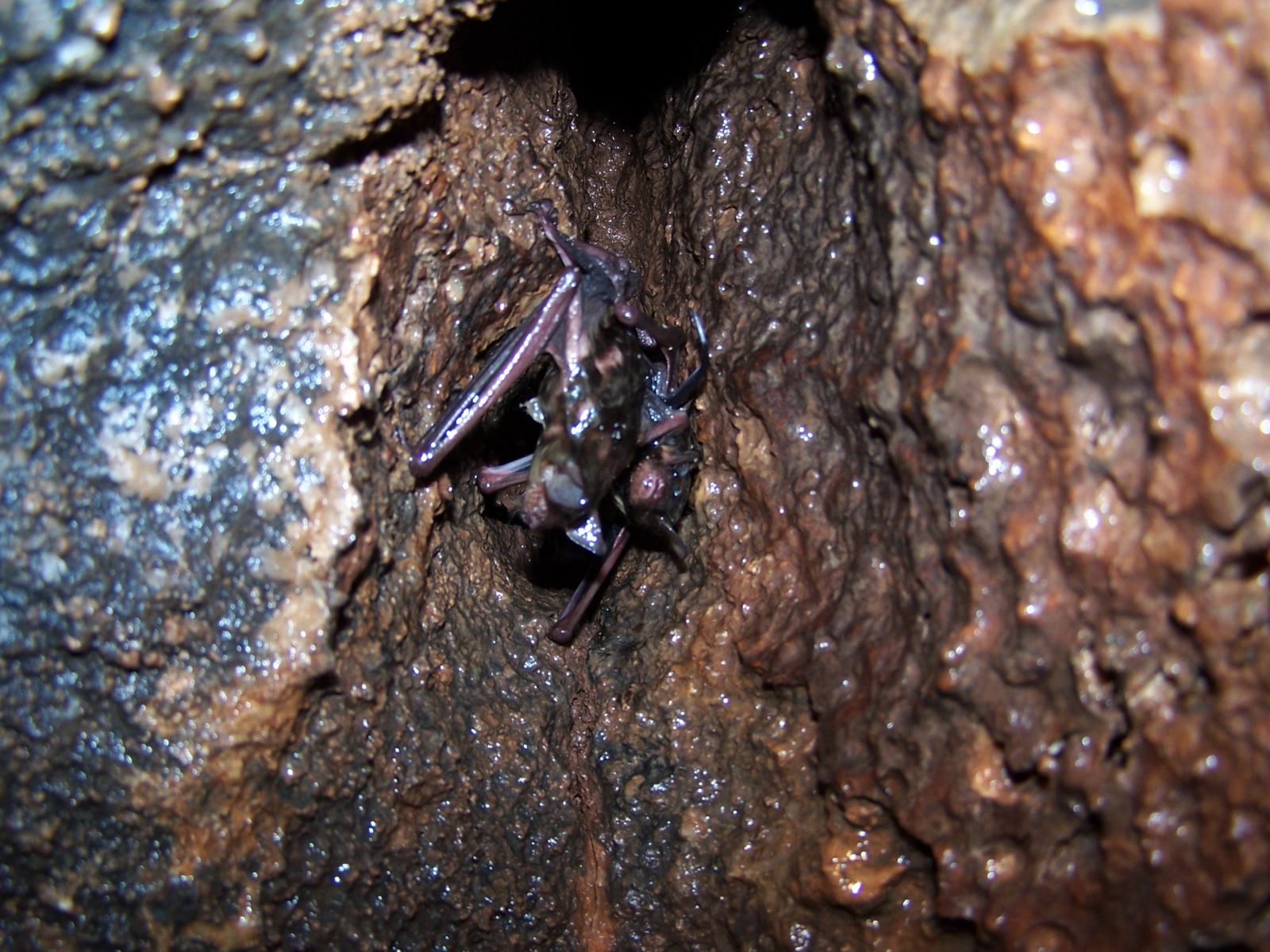 100_1288.jpg
