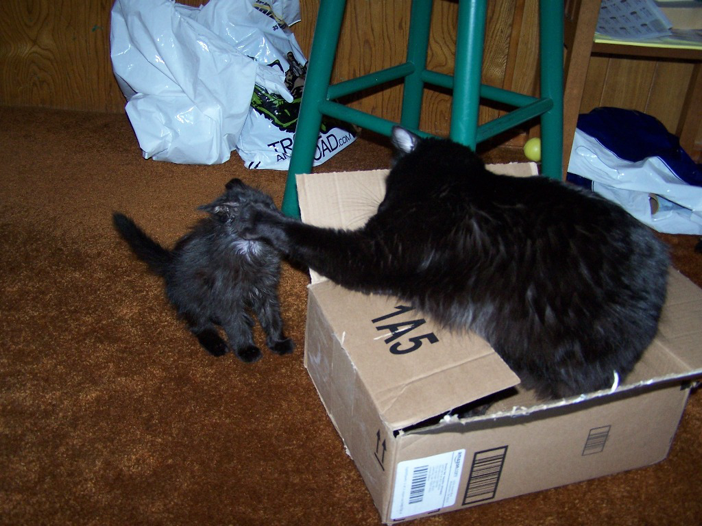 the box03.jpg