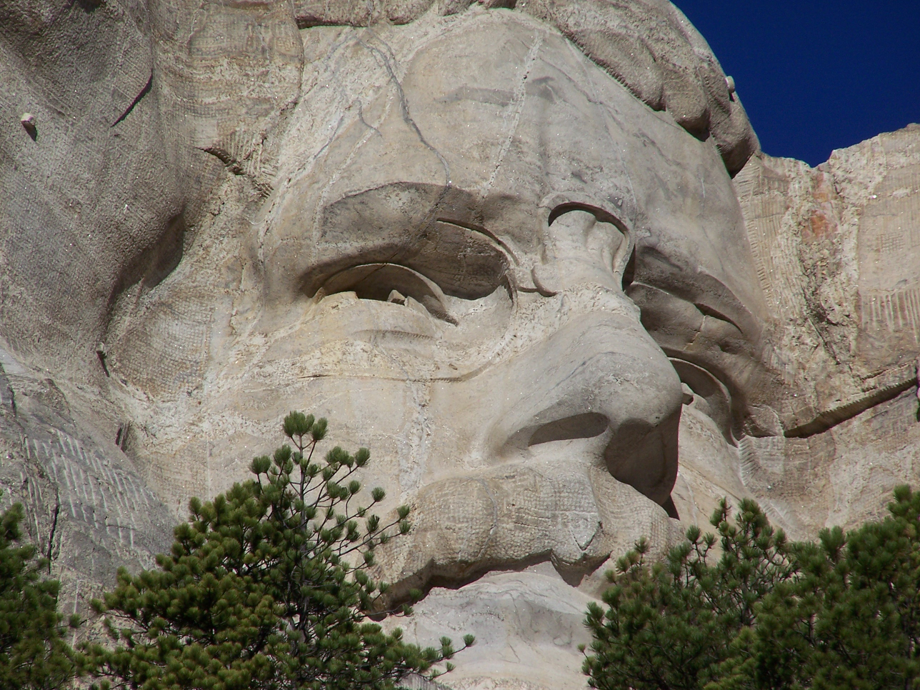 100_3683.jpg