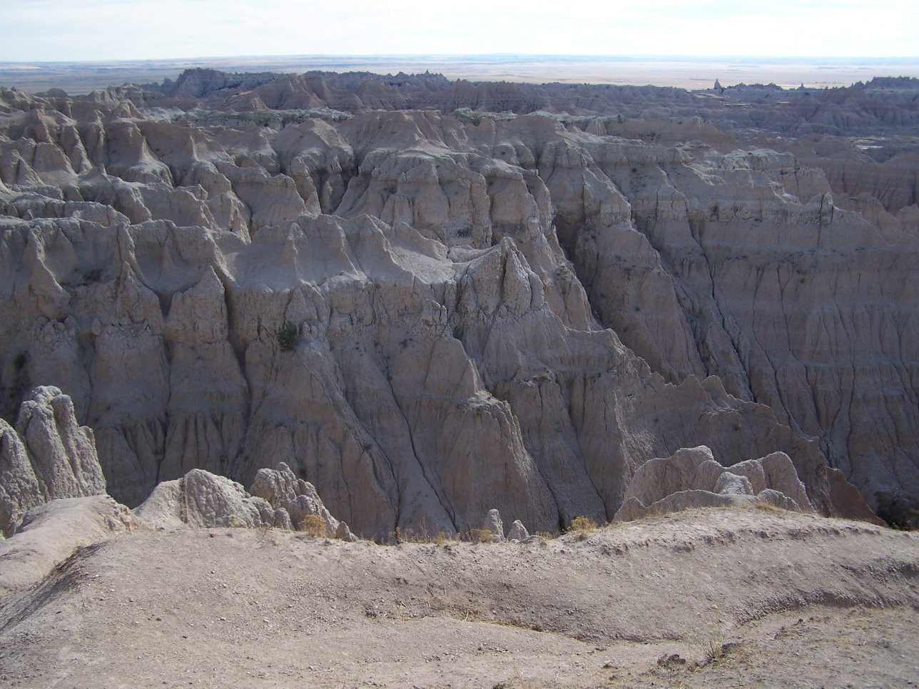 100_3597.jpg