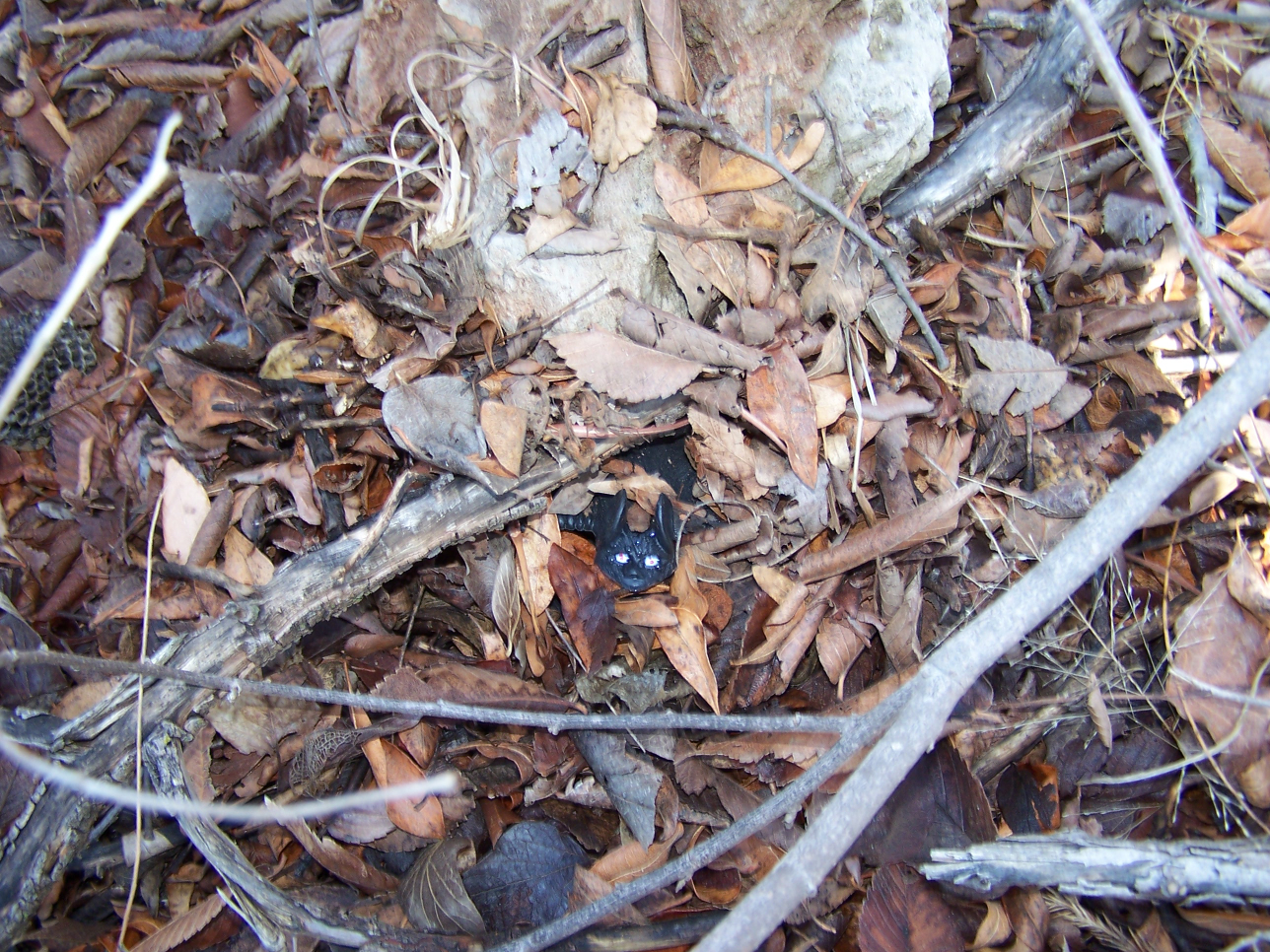 wingding2013.30.jpg