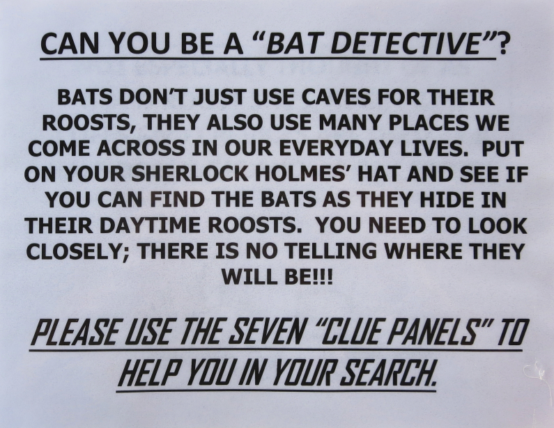 batdetect01.jpg
