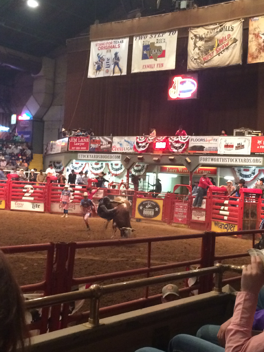 rodeo06.jpg