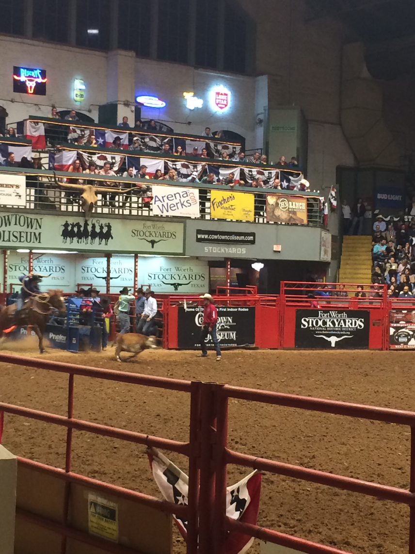 rodeo08.jpg