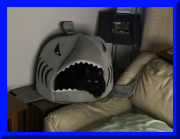 booger shark.JPG
