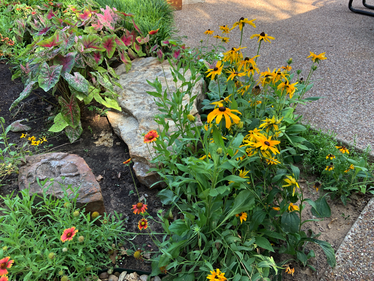 garden09.jpg