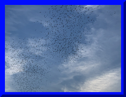 batwatch17.jpg